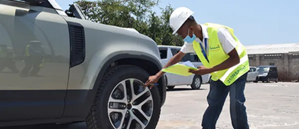 Quality Inspection & Delivery