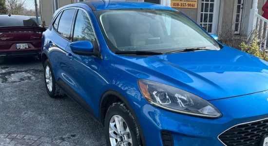 Free Damage Assessment​